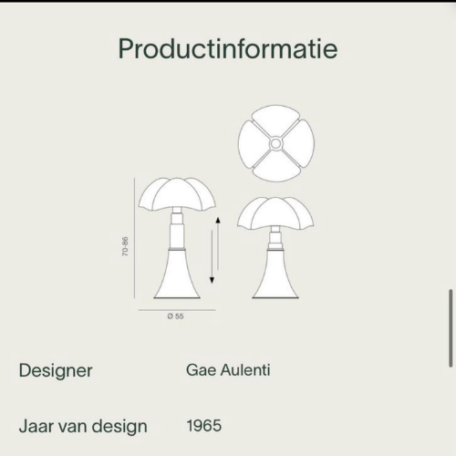 Martinelli Luce Pipistrello Large now as a show model