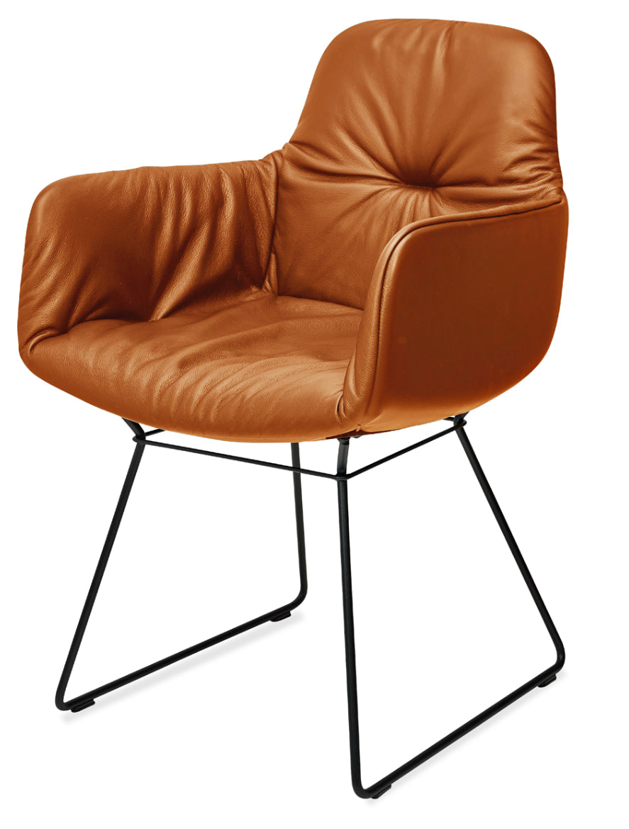 Freifrau Leya Dining Chairs in cognac premium leather